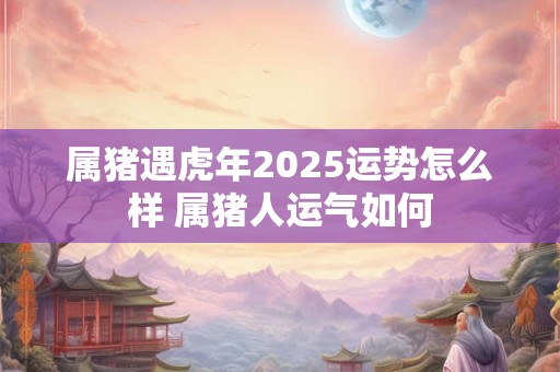 属猪遇虎年2025运势怎么样 属猪人运气如何