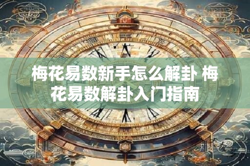梅花易数新手怎么解卦 梅花易数解卦入门指南