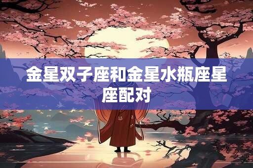 金星双子座和金星水瓶座星座配对