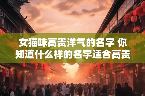女猫咪高贵洋气的名字 你知道什么样的名字适合高贵洋气的女猫咪吗