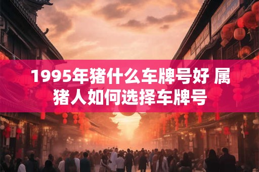 1995年猪什么车牌号好 属猪人如何选择车牌号