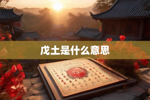 戊土是什么意思