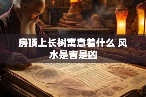 房顶上长树寓意着什么 风水是吉是凶