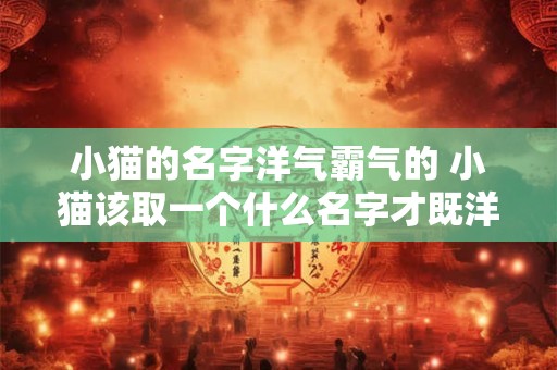 小猫的名字洋气霸气的 小猫该取一个什么名字才既洋气又霸气呢 小猫的名字洋气霸气的 小猫该取一个什么名字才既洋气又霸气呢