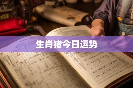 生肖猪今日运势