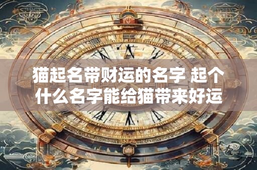猫起名带财运的名字 起个什么名字能给猫带来好运