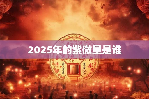 2026年的紫微星是谁