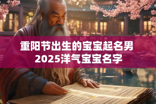 重阳节出生的宝宝起名男 2025洋气宝宝名字