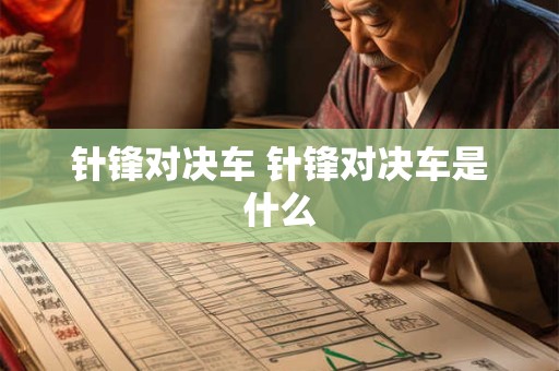 针锋对决车 针锋对决车是什么