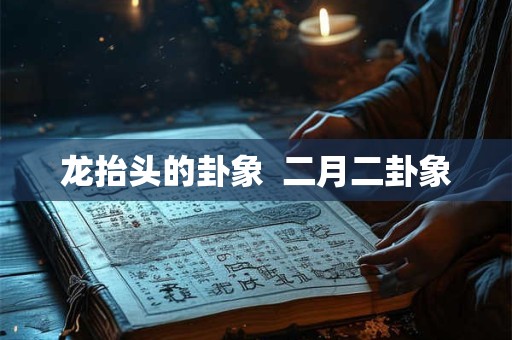 龙抬头的卦象  二月二卦象