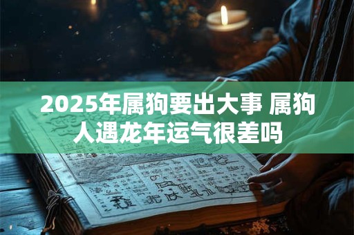 2025年属狗要出大事 属狗人遇龙年运气很差吗