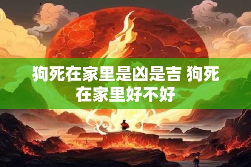 狗死在家里是凶是吉 狗死在家里好不好