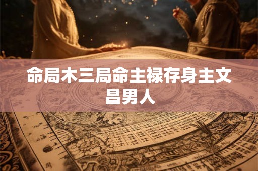 命局木三局命主禄存身主文昌男人