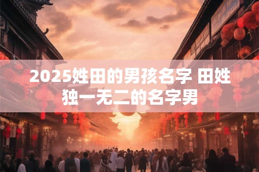 2025姓田的男孩名字 田姓独一无二的名字男