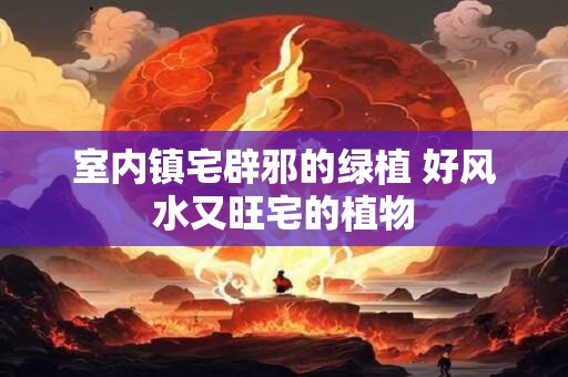 室内镇宅辟邪的绿植 好风水又旺宅的植物