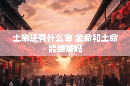 土命还有什么命 金命和土命能结婚吗