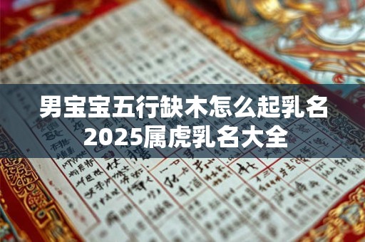 男宝宝五行缺木怎么起乳名 2025属虎乳名大全