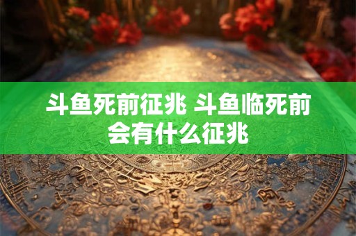 斗鱼死前征兆 斗鱼临死前会有什么征兆