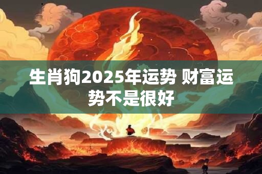 生肖狗2025年运势 财富运势不是很好