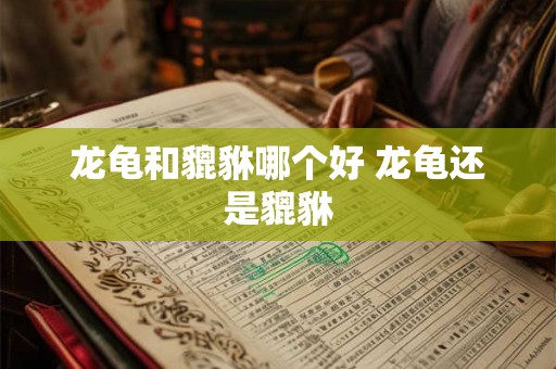 龙龟和貔貅哪个好 龙龟还是貔貅