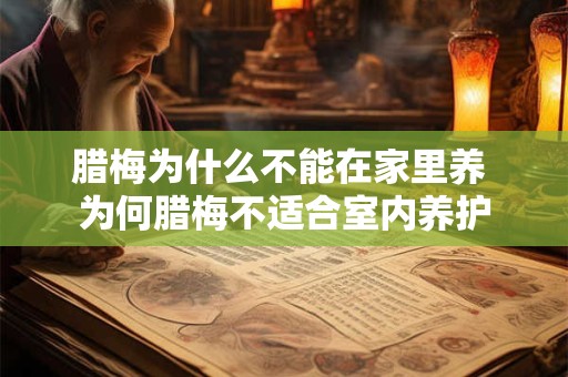 腊梅为什么不能在家里养 为何腊梅不适合室内养护