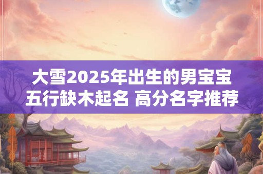 大雪2025年出生的男宝宝五行缺木起名 高分名字推荐！