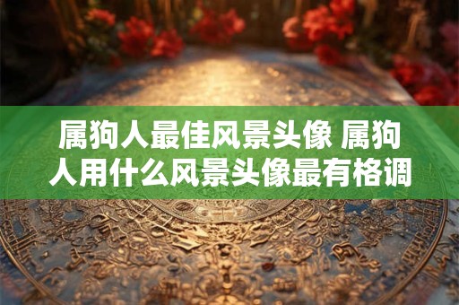 属狗人最佳风景头像 属狗人用什么风景头像最有格调