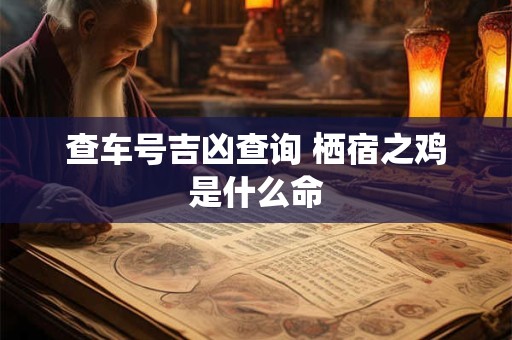 查车号吉凶查询 栖宿之鸡是什么命