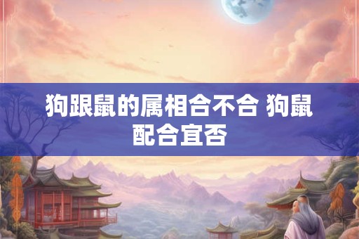 狗跟鼠的属相合不合 狗鼠配合宜否
