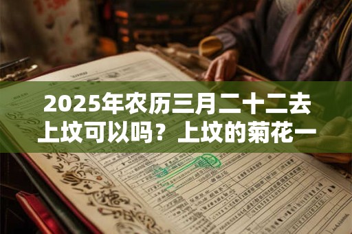 2025年农历三月二十二去上坟可以吗？上坟的菊花一般是什么品种？