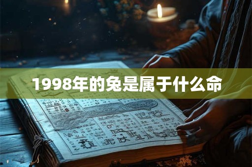 1998年的兔是属于什么命