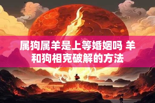 属狗属羊是上等婚姻吗 羊和狗相克破解的方法 属狗属羊是上等婚姻吗 羊和狗相克破解的方法