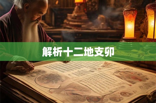 解析十二地支卯