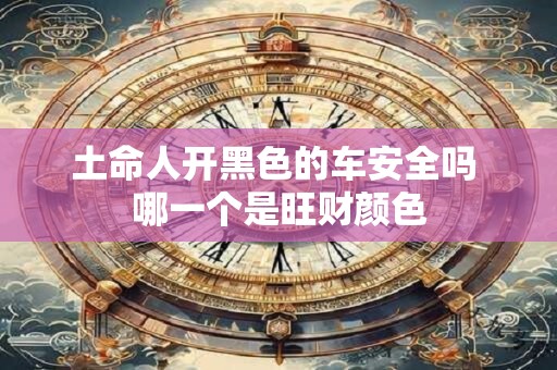 土命人开黑色的车安全吗 哪一个是旺财颜色