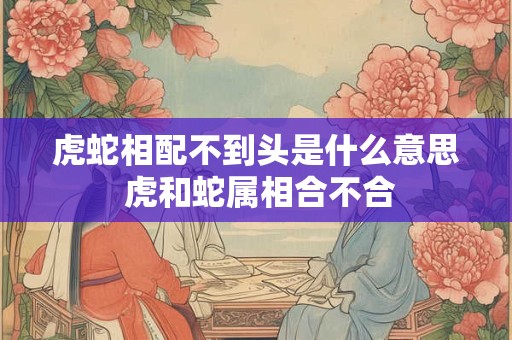虎蛇相配不到头是什么意思 虎和蛇属相合不合