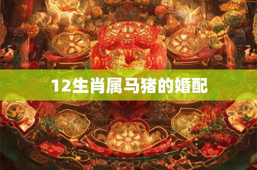 12生肖属马猪的婚配