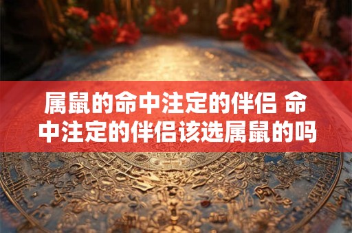 属鼠的命中注定的伴侣 命中注定的伴侣该选属鼠的吗