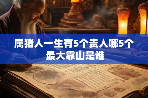 属猪人一生有5个贵人哪5个 最大靠山是谁