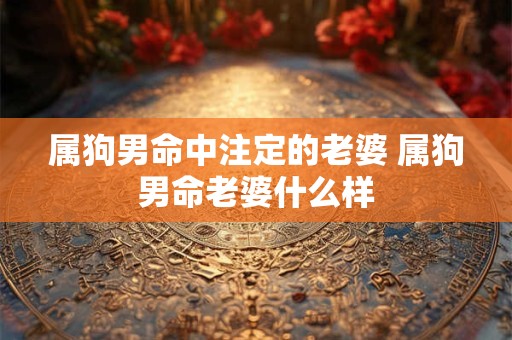 属狗男命中注定的老婆 属狗男命老婆什么样