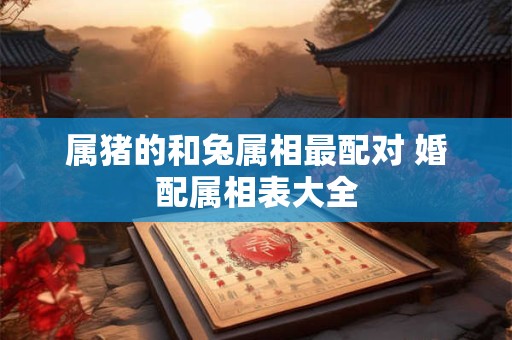 属猪的和兔属相最配对 婚配属相表大全