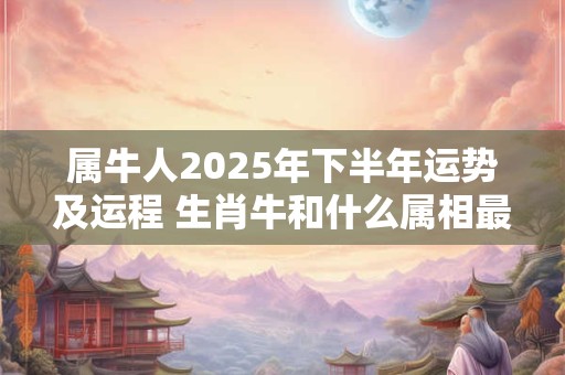 属牛人2026年下半年运势及运程 生肖牛和什么属相最不和