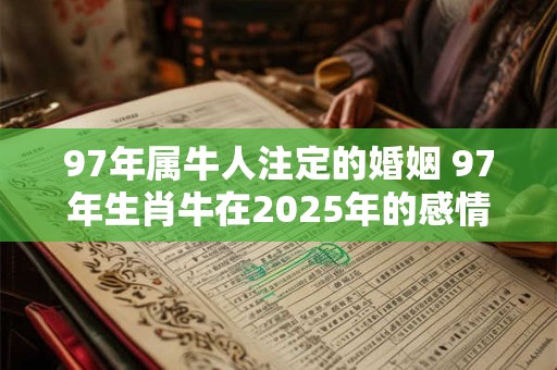 97年属牛人注定的婚姻 97年生肖牛在2025年的感情运势