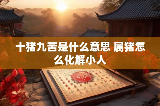 十猪九苦是什么意思 属猪怎么化解小人
