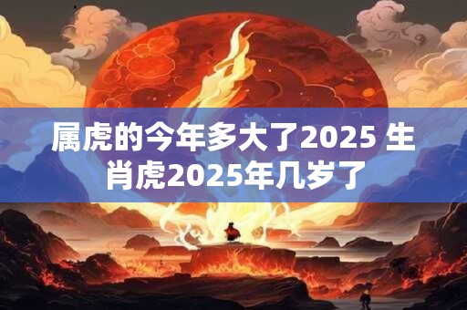 属虎的今年多大了2026 生肖虎2026年几岁了