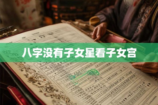 八字没有子女星看子女宫