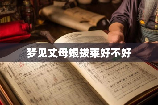 梦见丈母娘拔莱好不好