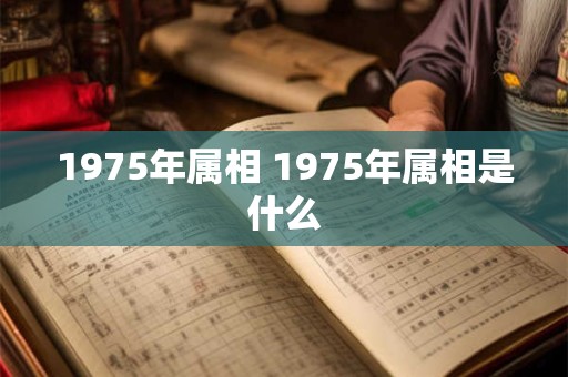 1975年属相 1975年属相是什么
