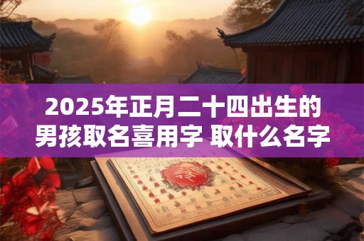 2025年正月二十四出生的男孩取名喜用字 取什么名字比较吉利