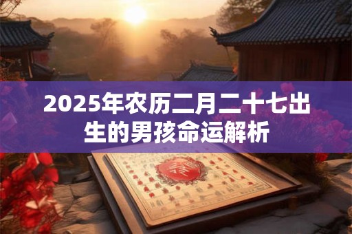2025年农历二月二十七出生的男孩命运解析