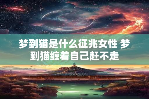 梦到猫是什么征兆女性 梦到猫缠着自己赶不走